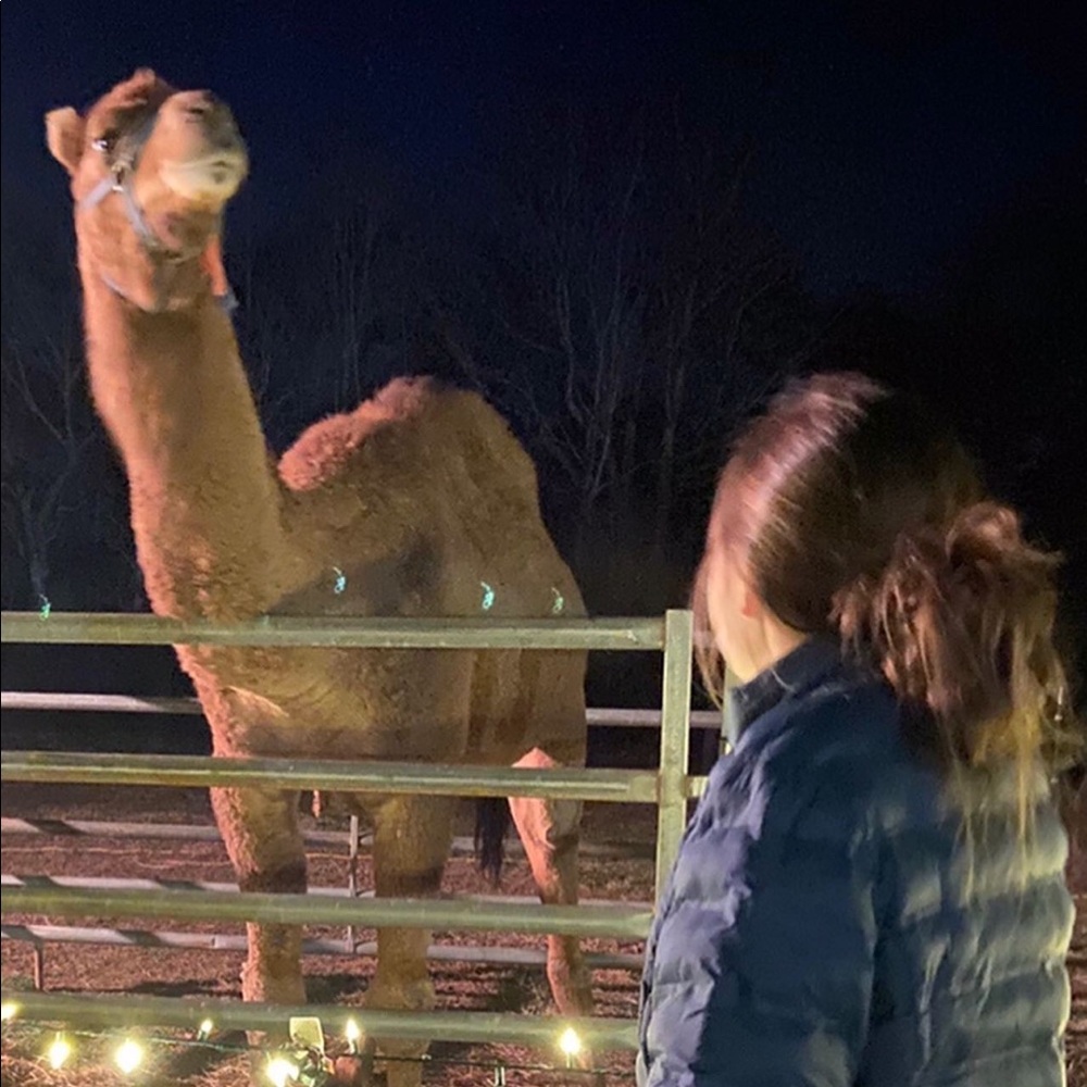 Meet your Posher, Annie